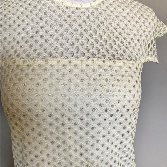 Romantic Vintage Sheer Net Wool Dress - Picture 7 of 10